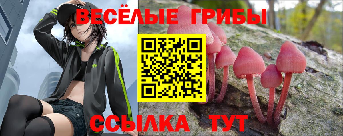 Псилоцибиновые грибы Cubensis Усолье-Сибирское